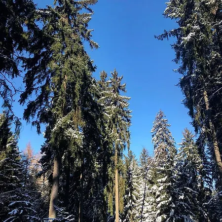 Glashutten ホテル グラスヒュッテン