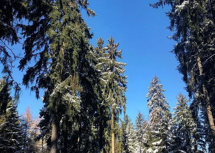 Glashutten Hotel Glashutten (Hessen)